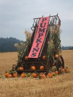 Pumpkin sign